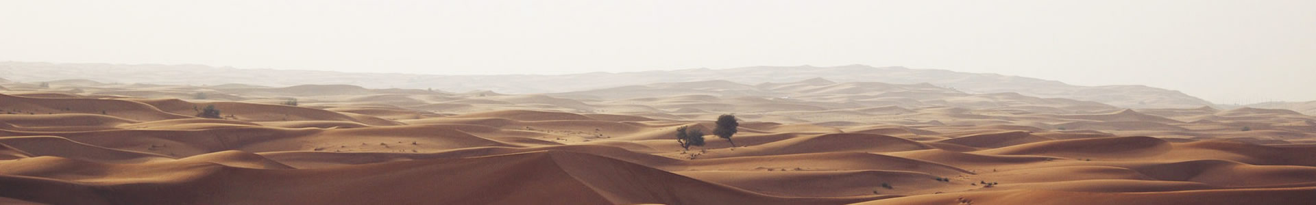 ΨݵӿƼϺ޹˾